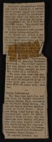 American Navy and Hideki Tojo News Article