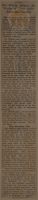 Dr. Wilson Relates Six Weeks of Orgy After Entry Into Nanking News Article
