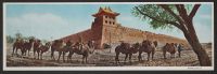 Postcard--Coal Transport by Camels