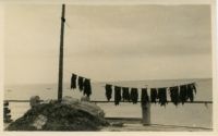 Photograph of Shoreline