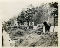 Photograph of Gardens