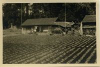 Photograph of Garden and House