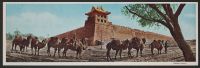 Postcard--Coal Transport by Camels